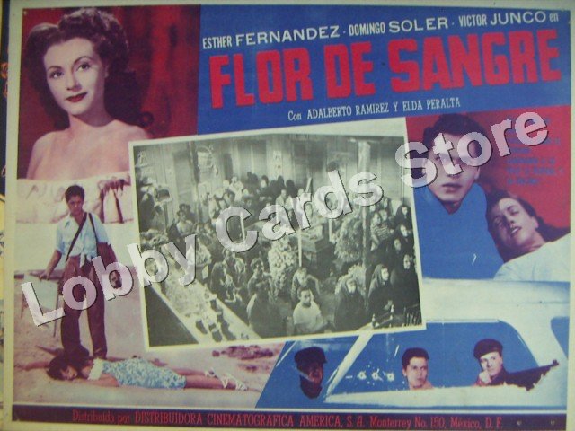 ESTHER FERNANDEZ/FLOR DE SANGRE